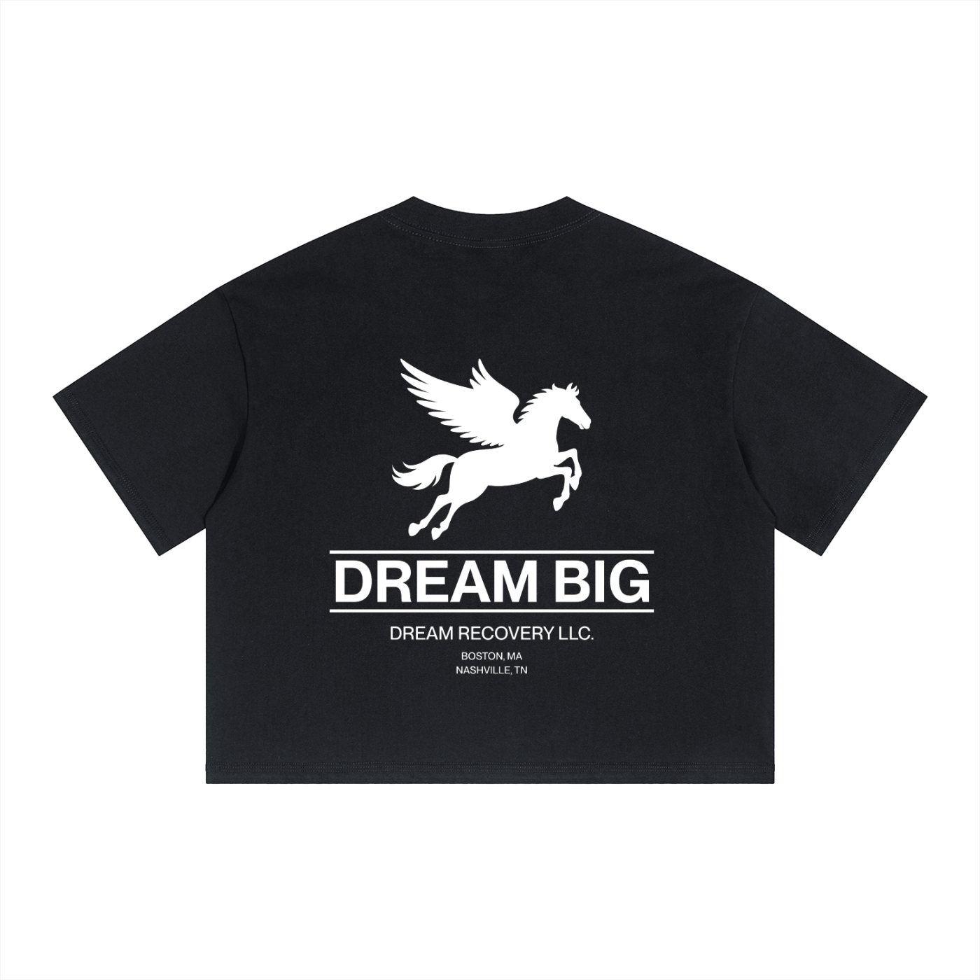 DREAM BIG T